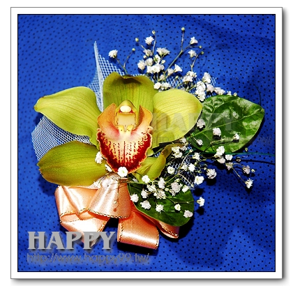 綠色虎頭蘭胸花